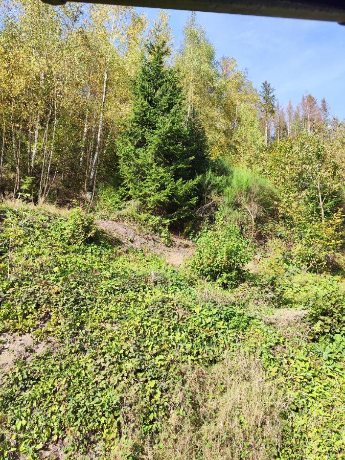 Wohlfuehloase Eifelsteig Villa ซิมเมอร์อาท ภายนอก รูปภาพ