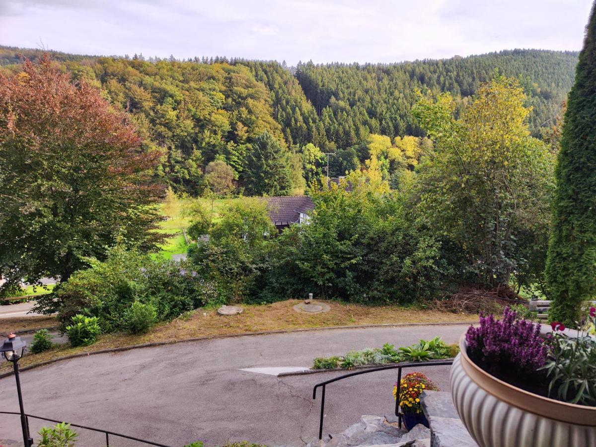 Wohlfuehloase Eifelsteig Villa ซิมเมอร์อาท ภายนอก รูปภาพ