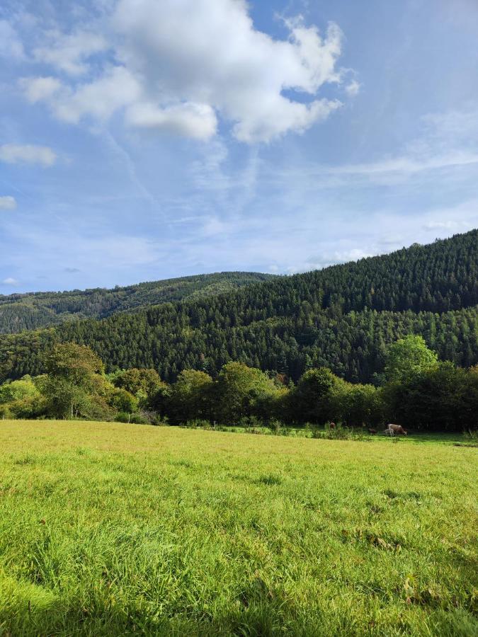 Wohlfuehloase Eifelsteig Villa ซิมเมอร์อาท ภายนอก รูปภาพ