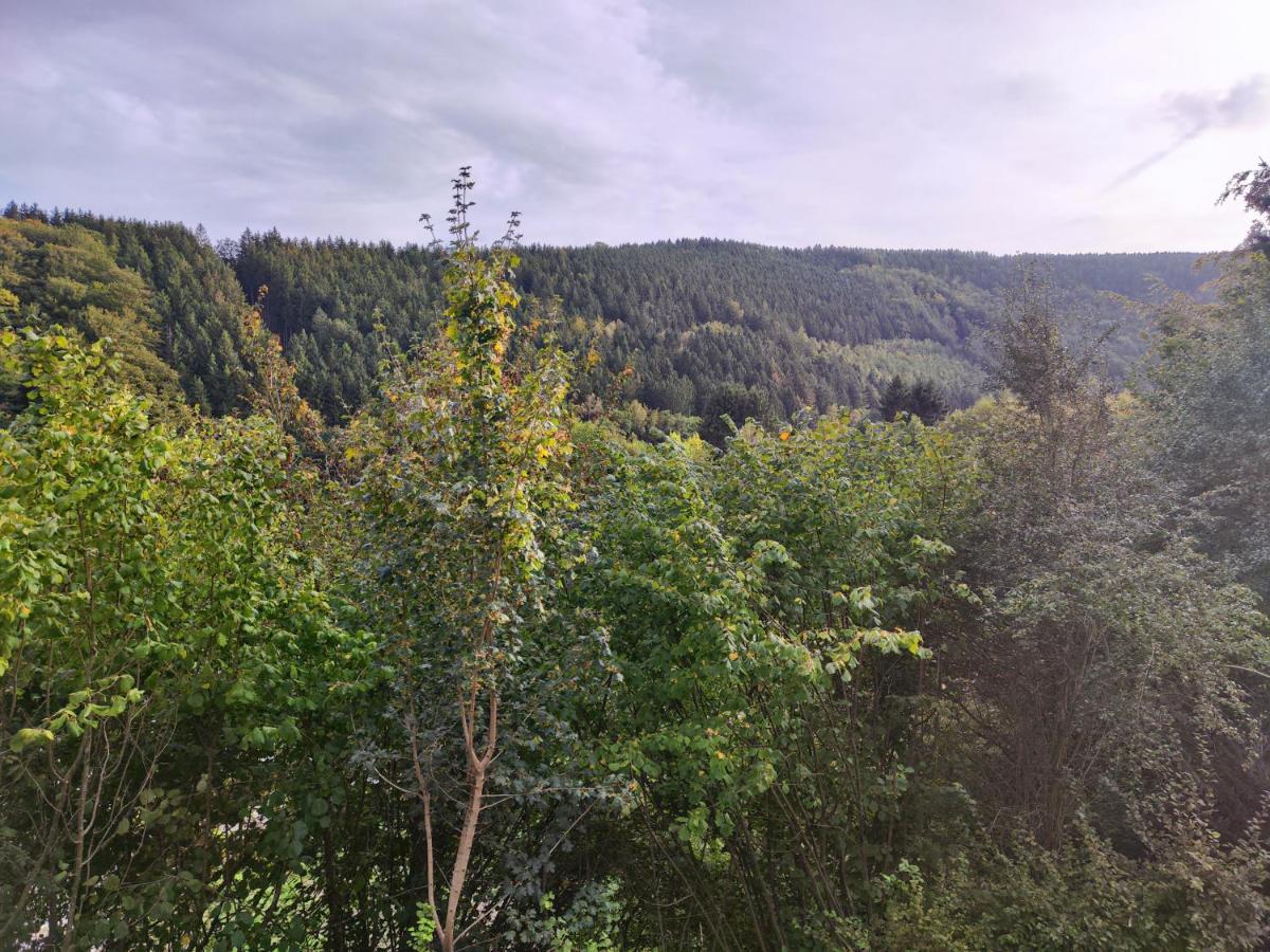 Wohlfuehloase Eifelsteig Villa ซิมเมอร์อาท ภายนอก รูปภาพ